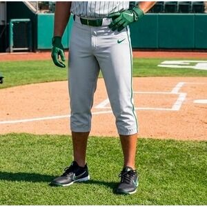 Nike Mens Team Baseball Pants Large Grey Green Stripe Knicker BQ9021-059 New